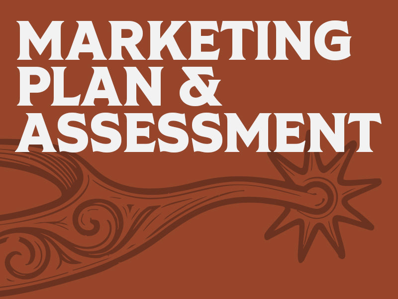 Custom Brand Assessment and Marketing Strategy Plan